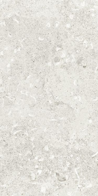 Sea Luster Bianca Matte 12 x 24